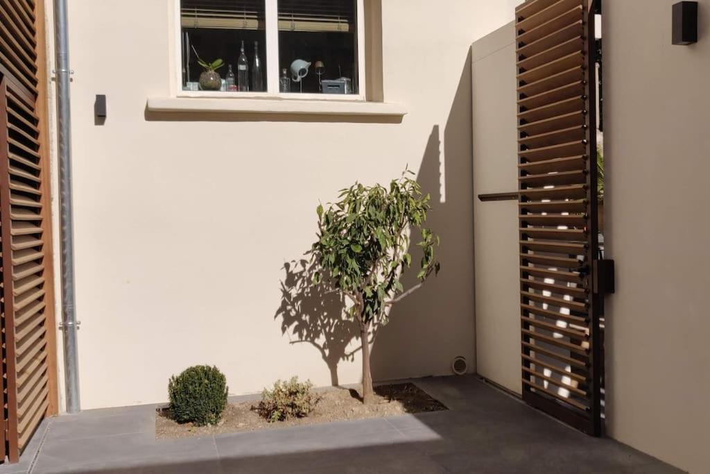 La Maison De Colette - Coeur De Village Cuxac-dʼAude Esterno foto